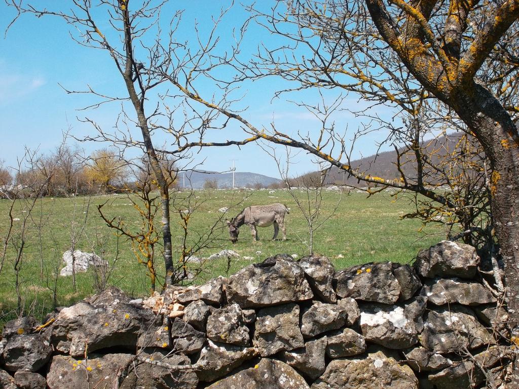 Gacka Valley Licko Lesce Екстериор снимка